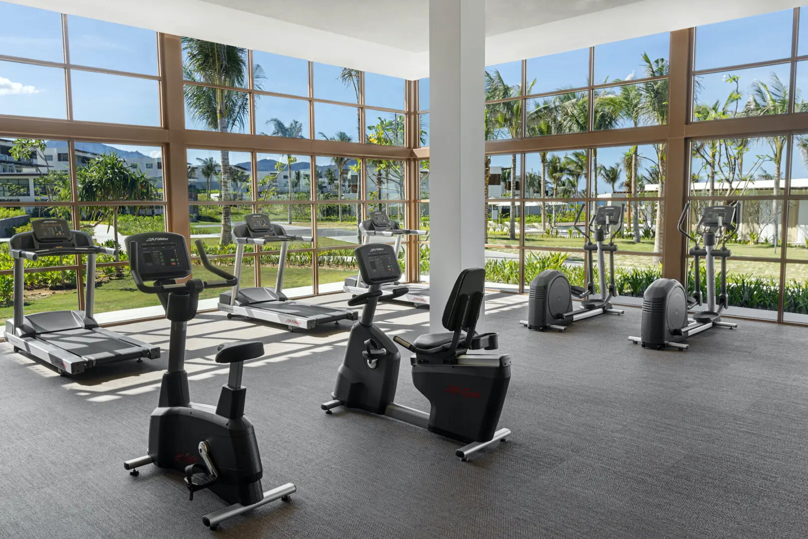 17.+alma+ +gym