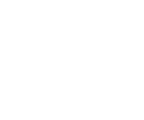 Icon Bed1