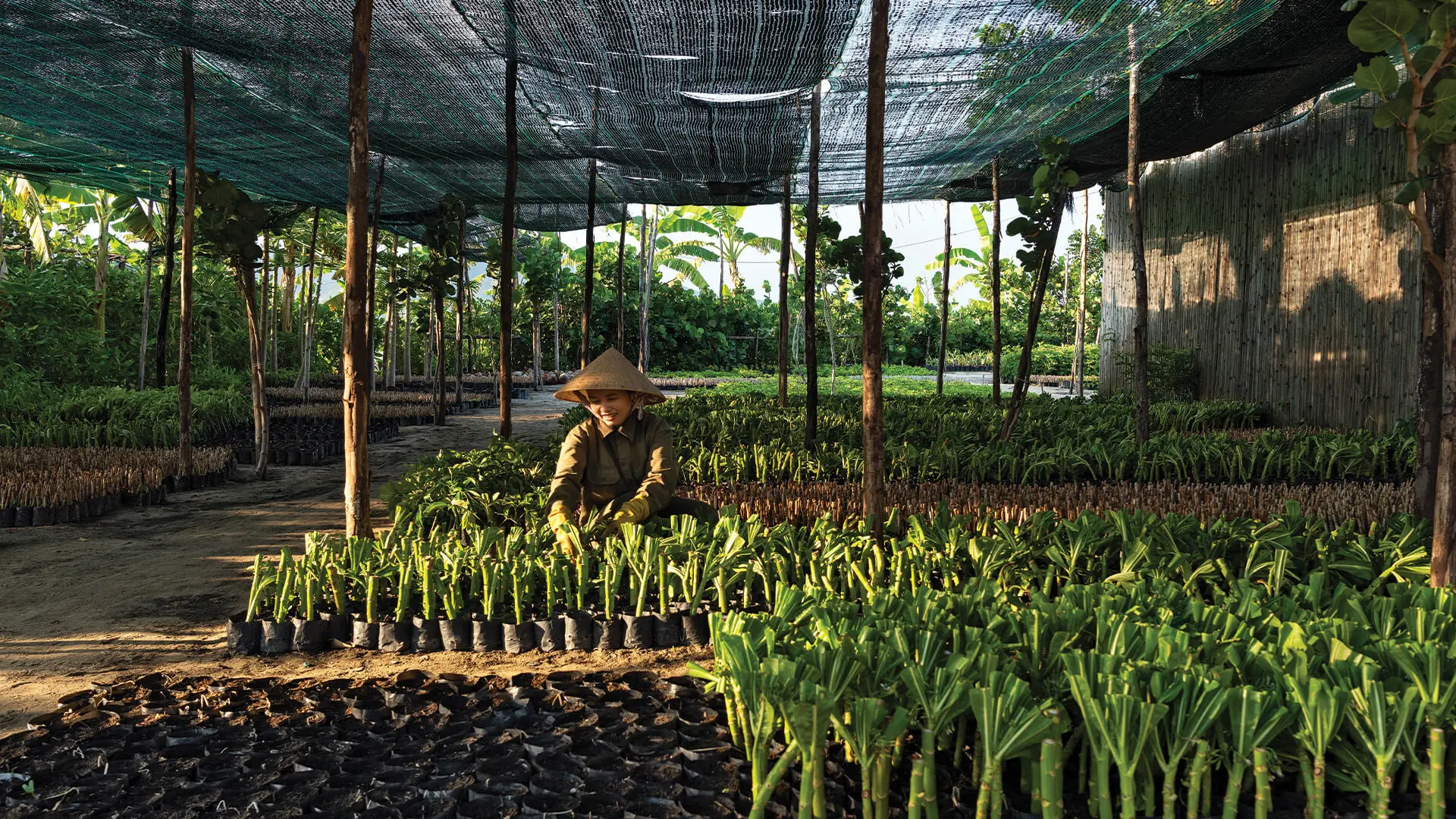 10 Lý Do Tuyệt Vời Để Chọn Alma Resort 9 Eco