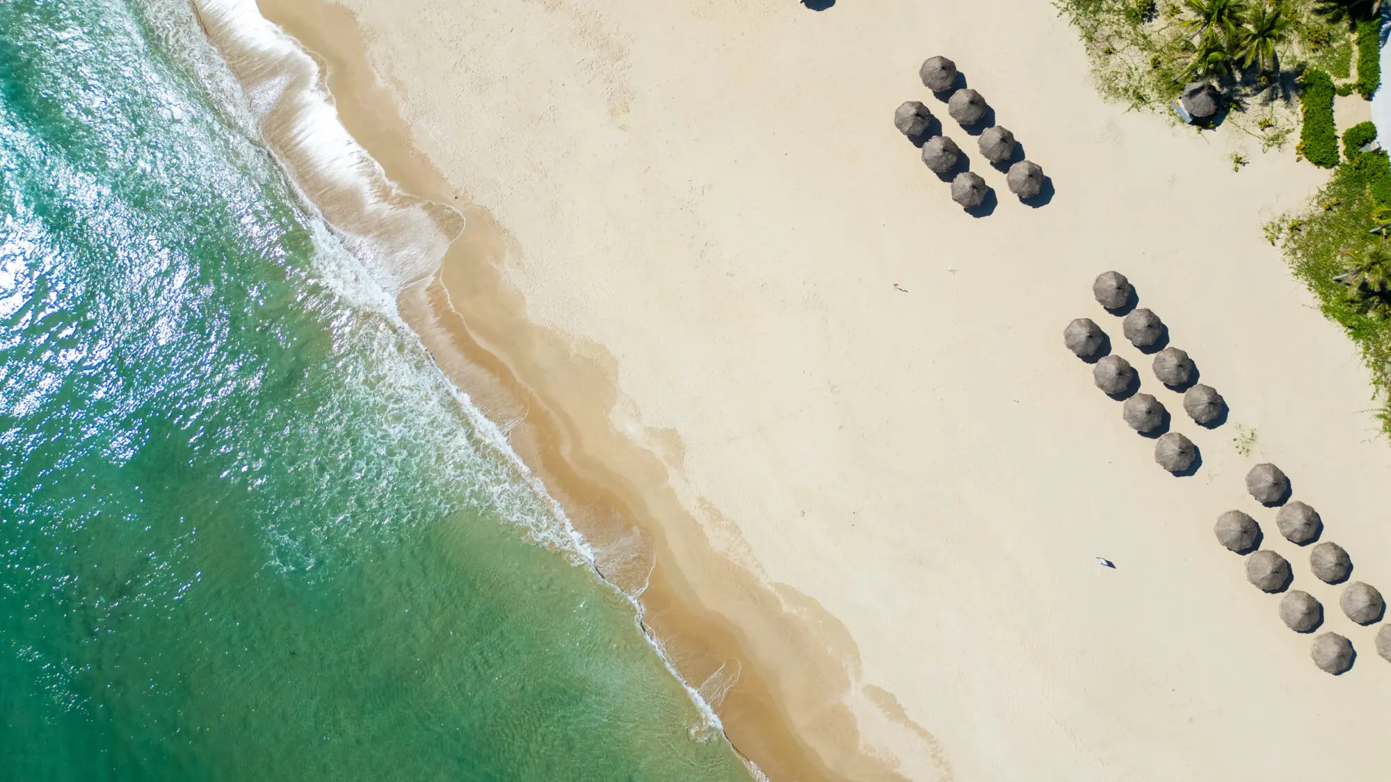 Suite Family Retreat Package