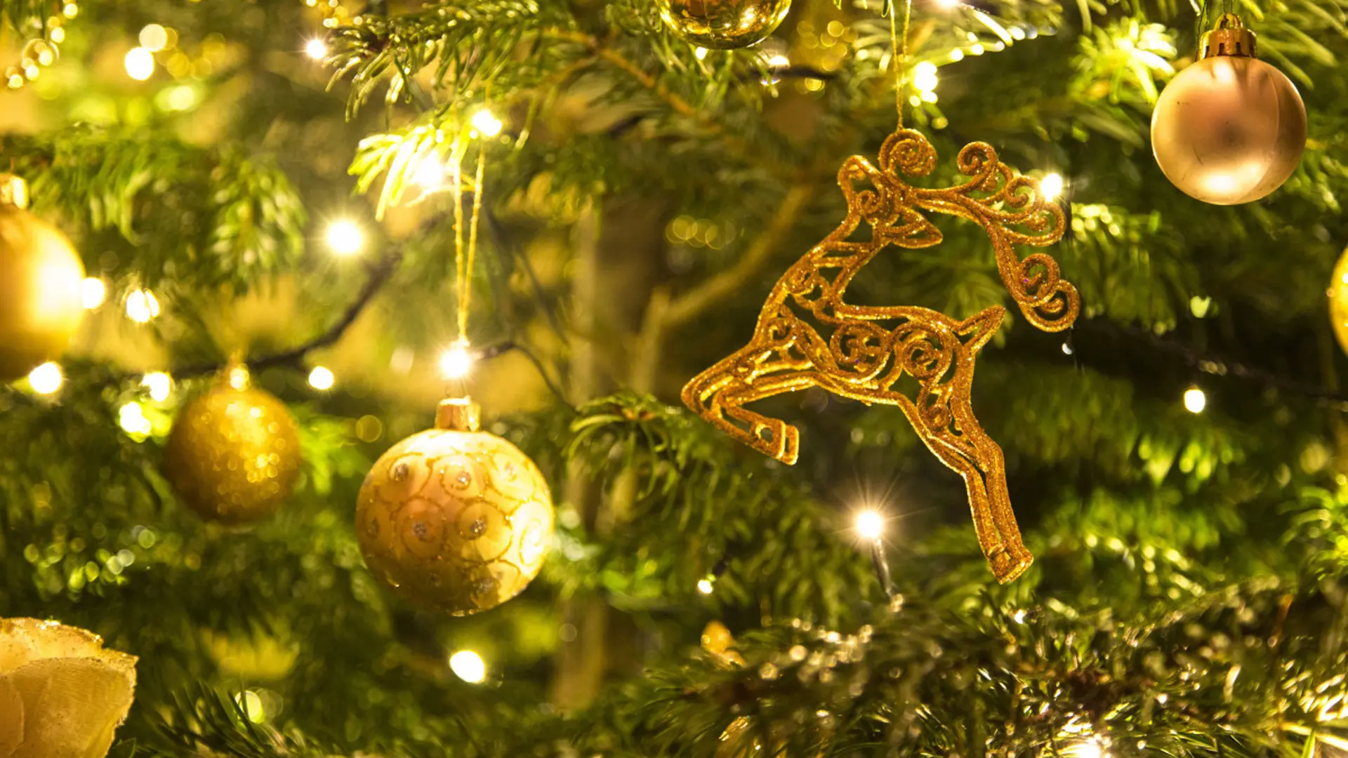 Deluxe Festive Package