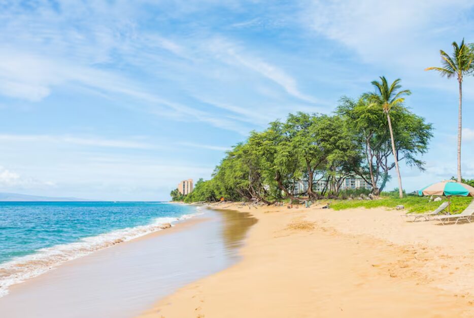С Сентября по Декабрь (Периодические Дожди)