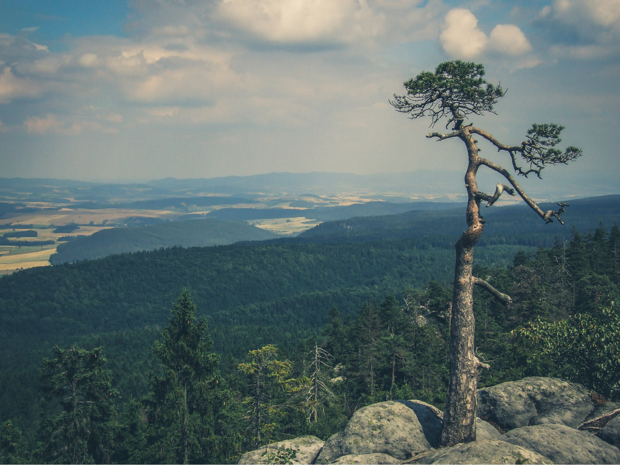 Kinh Nghiem Du Lich Cam Ranh 20
