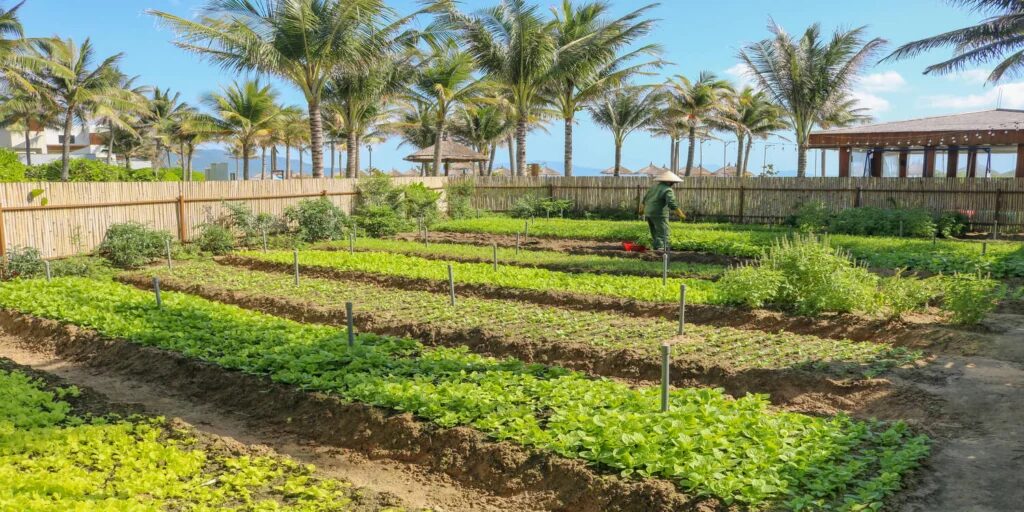 15 занятий, которые нужно сделать в Камрани: Список приключений 2026 11 что посмотреть в камрани