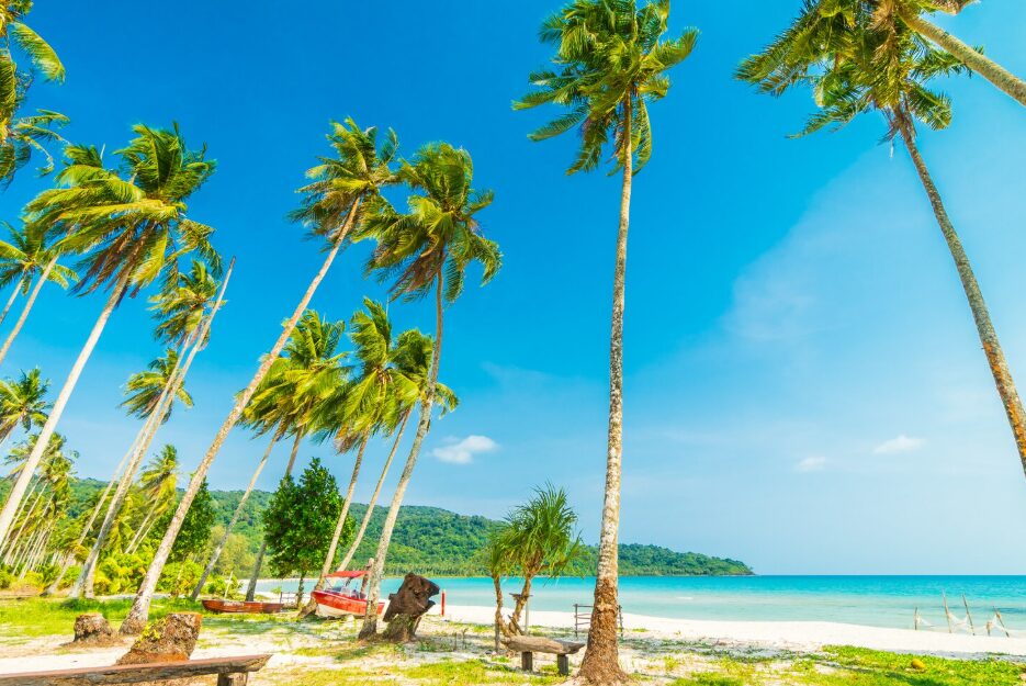 7 Best Beaches in Cam Ranh vs Nha Trang in 2026 5 Cam Ranh Beaches 12