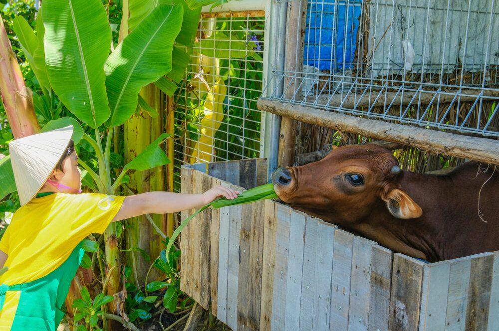 Lich Trinh Du Lich Cam Ranh 28
