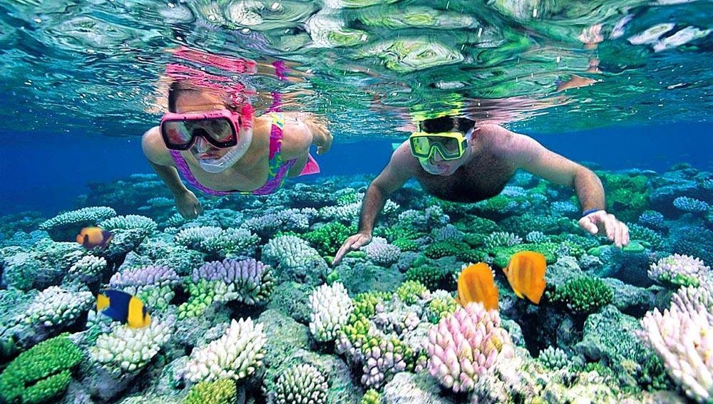 Trải nghiệm lặn biển ngắm san hô cực vui khi tìm hiểu chơi gì ở Nha Trang