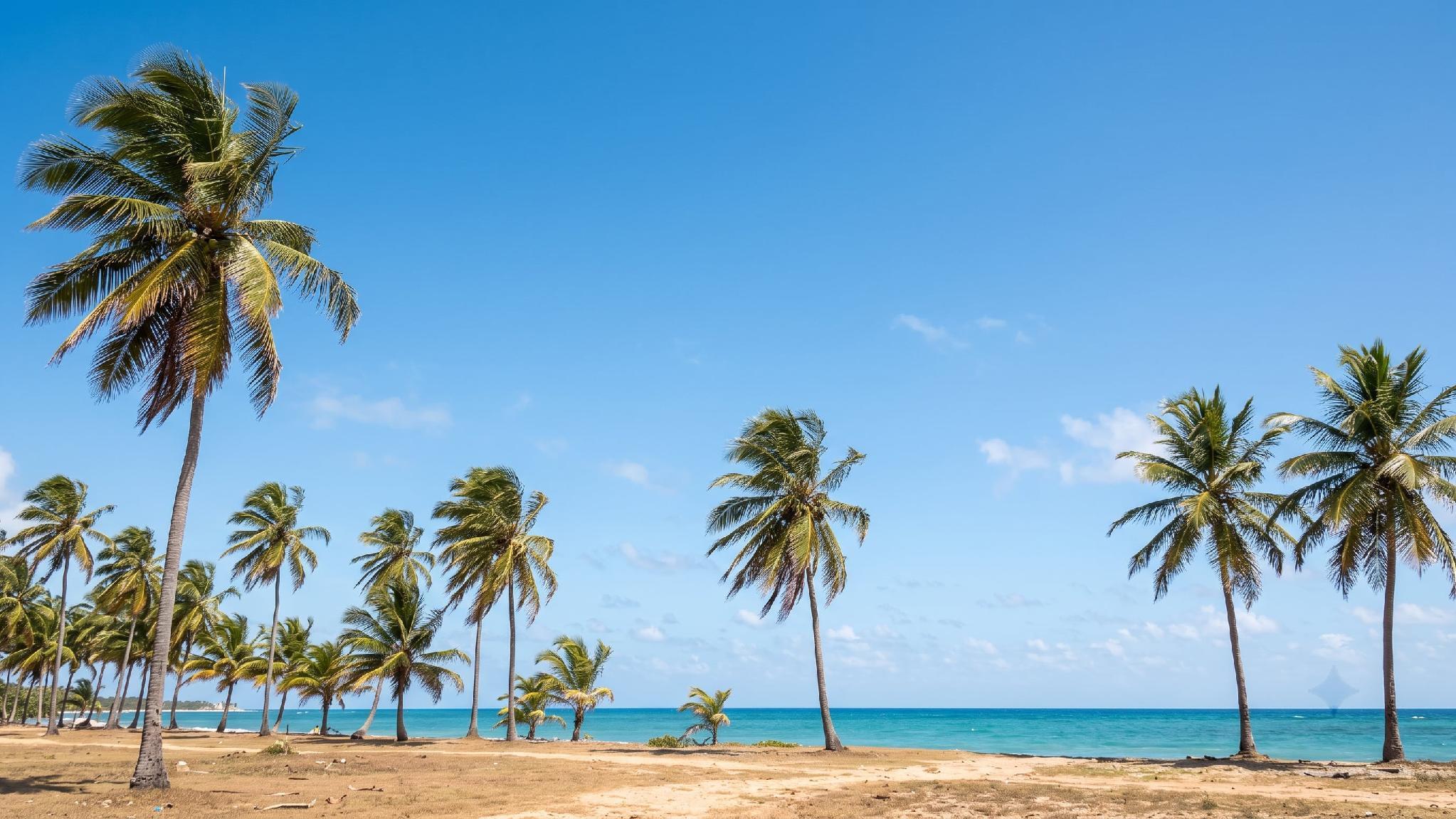 best time to visit nha trang – When Is the Dry Season in Nha Trang?